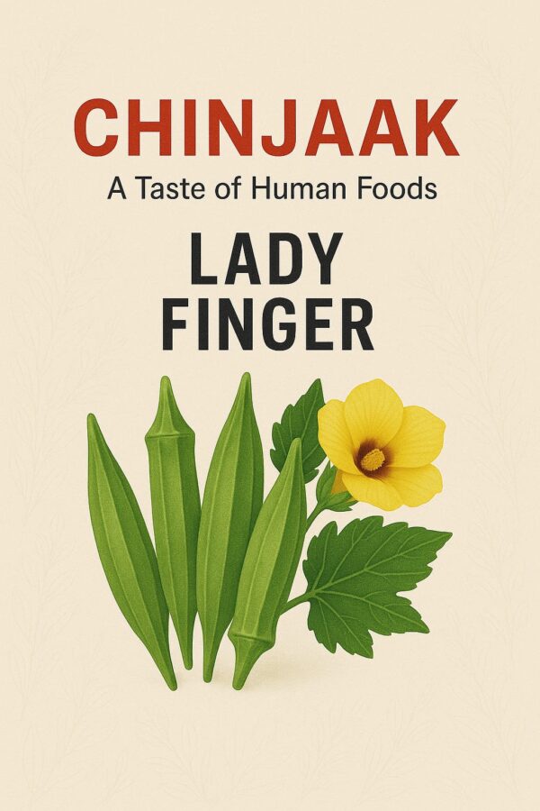 Lady Finger