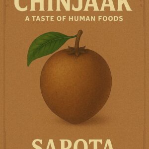 Sapota