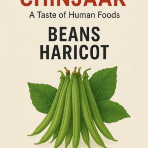 Beans Haricot