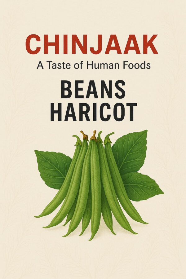 Beans Haricot